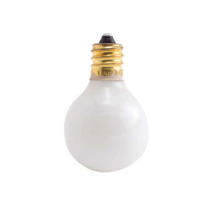 Globe Type Bulb 10 Watt