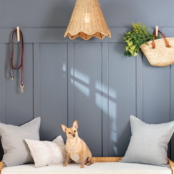 Small dog sitting on an outdoor bed under a wicker light in front of a blue wall