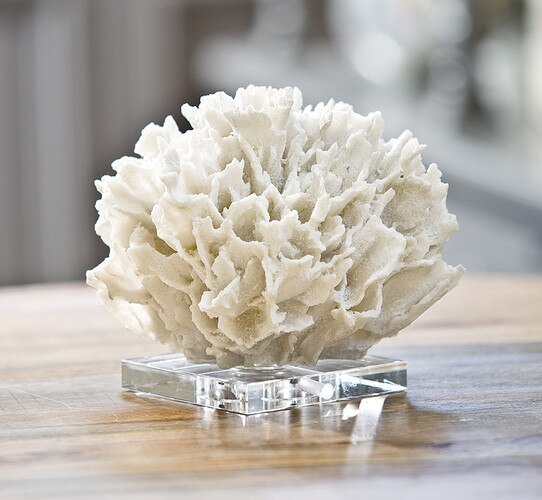 White ribbon coral on a resin base