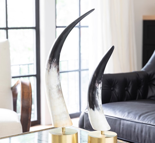 White and black horn sculptures on a gold base