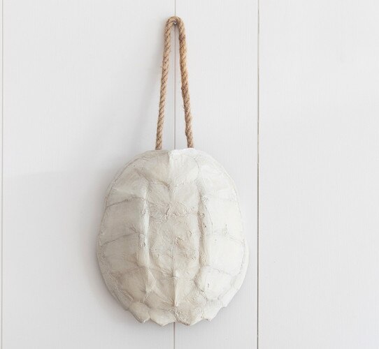 White turtle shell hanging above a wood picture frame