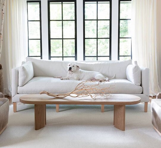 White sofa with dog laying on it with a wood coffee table in front of it