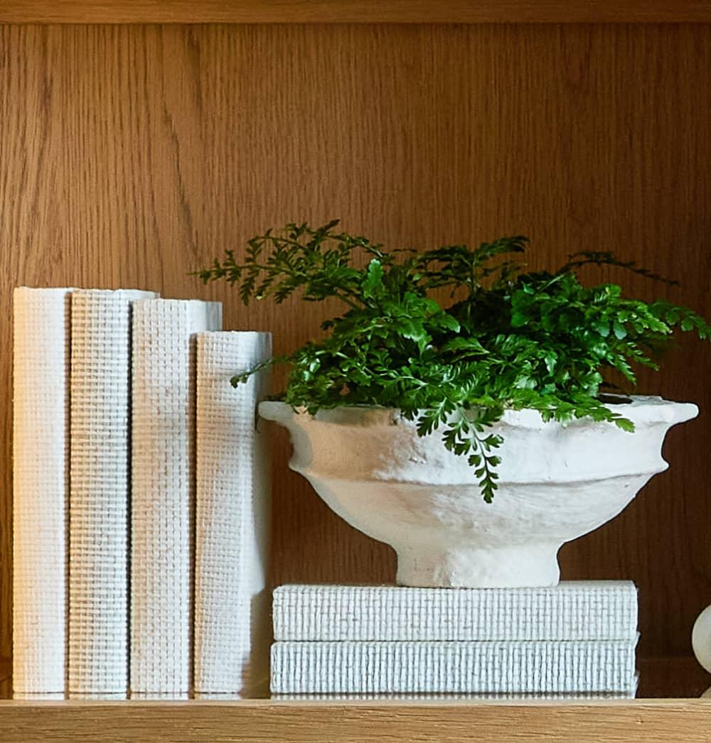 Shelf with white books and a white ceramic bowl with greenery