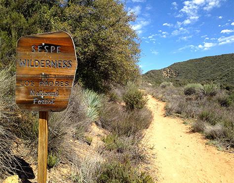 Sespe Wilderness National Forest wooden sign on a dusty trail with desert plants