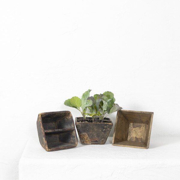 Mini Rice Container | Regina Andrew Detroit