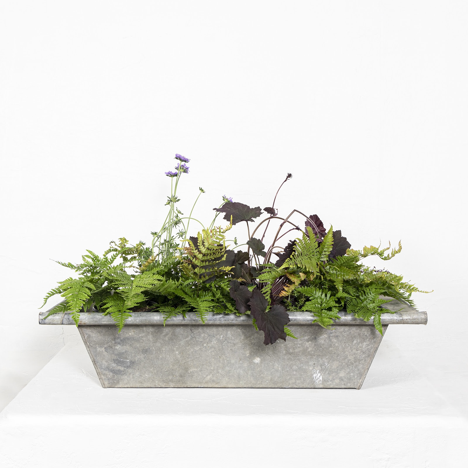 A glass demi john modern decor piece with a leafed branch in it