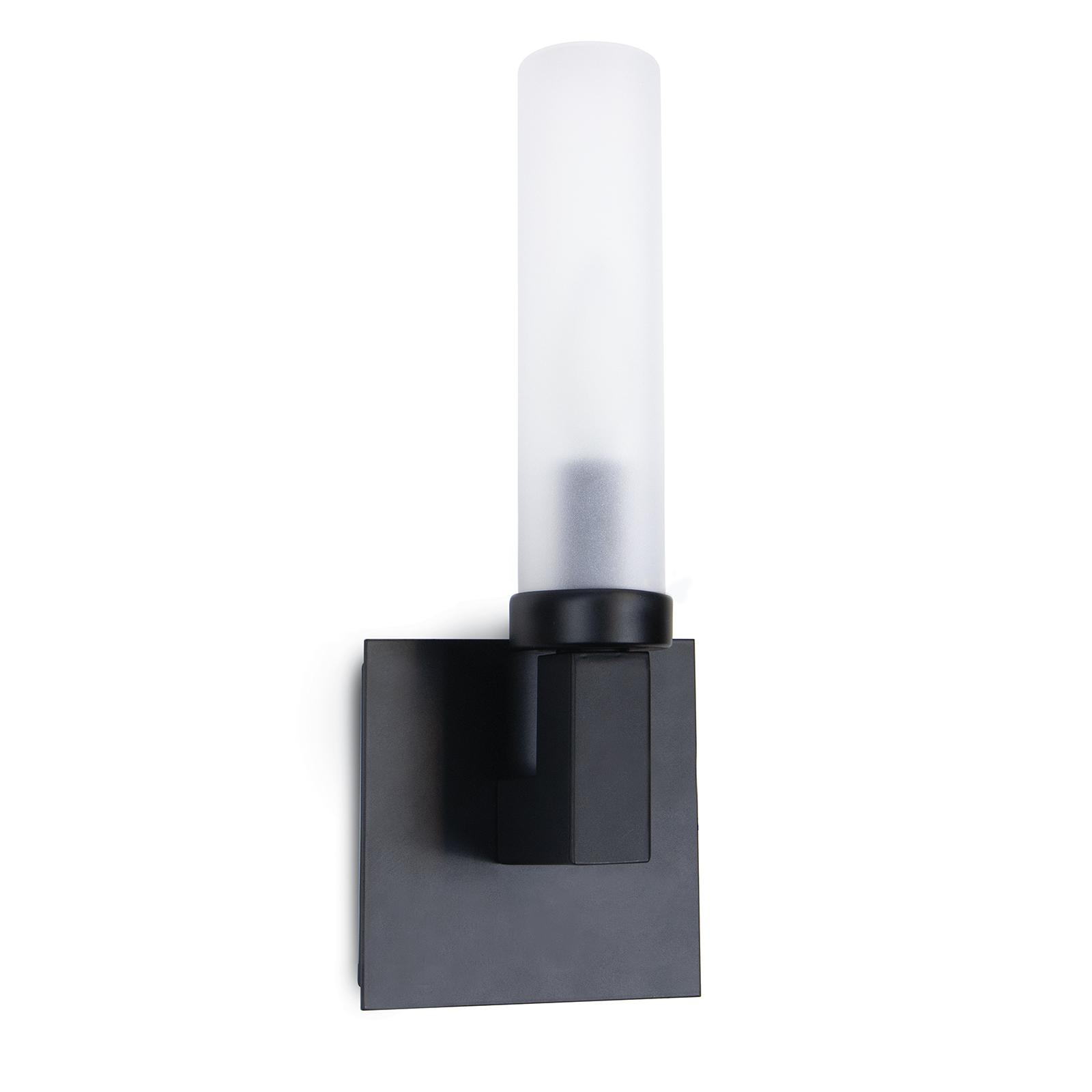 Coastal styled black sconce with a frosted bulb holder