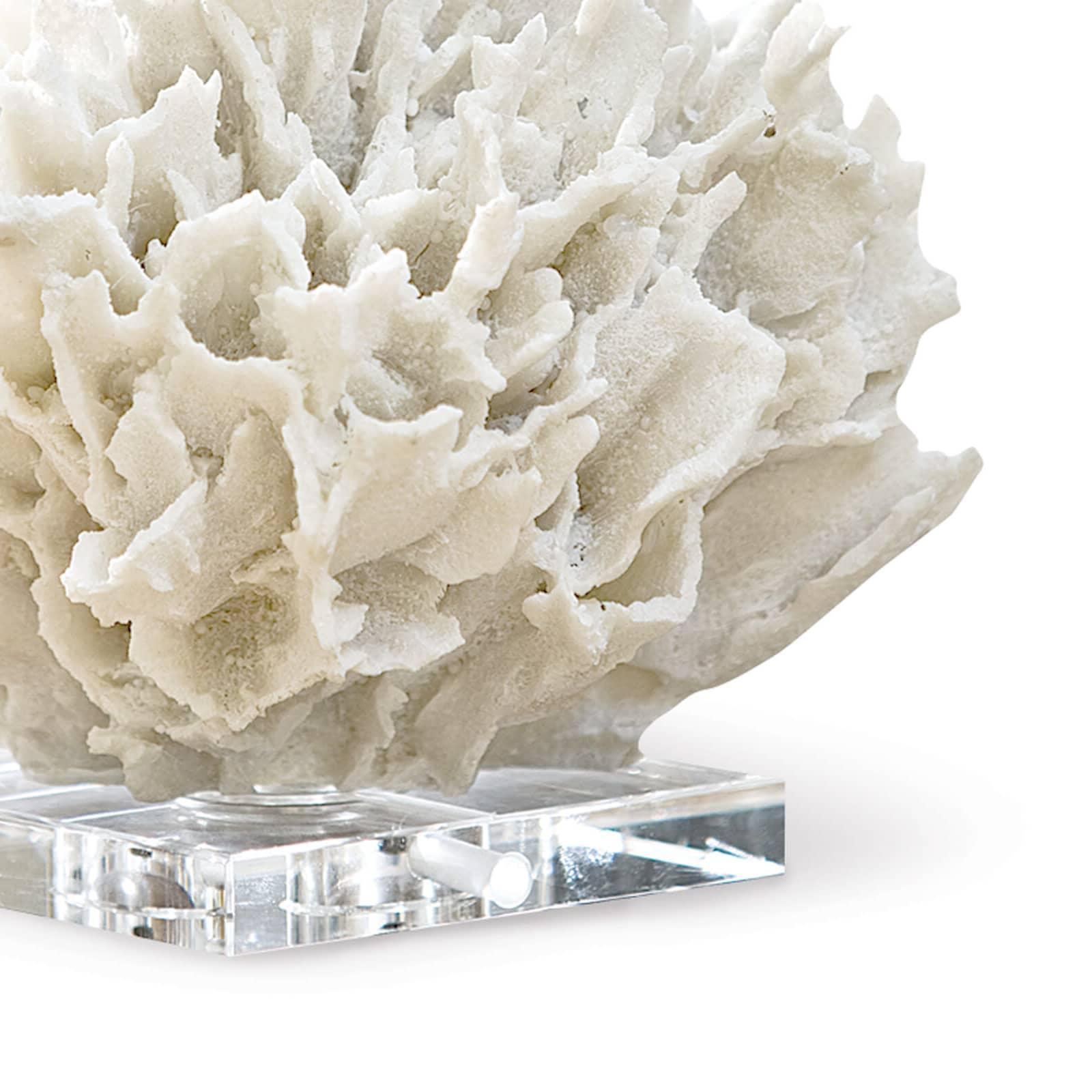 Summer Decorating with Coral and Shells | Edith & Evelyn