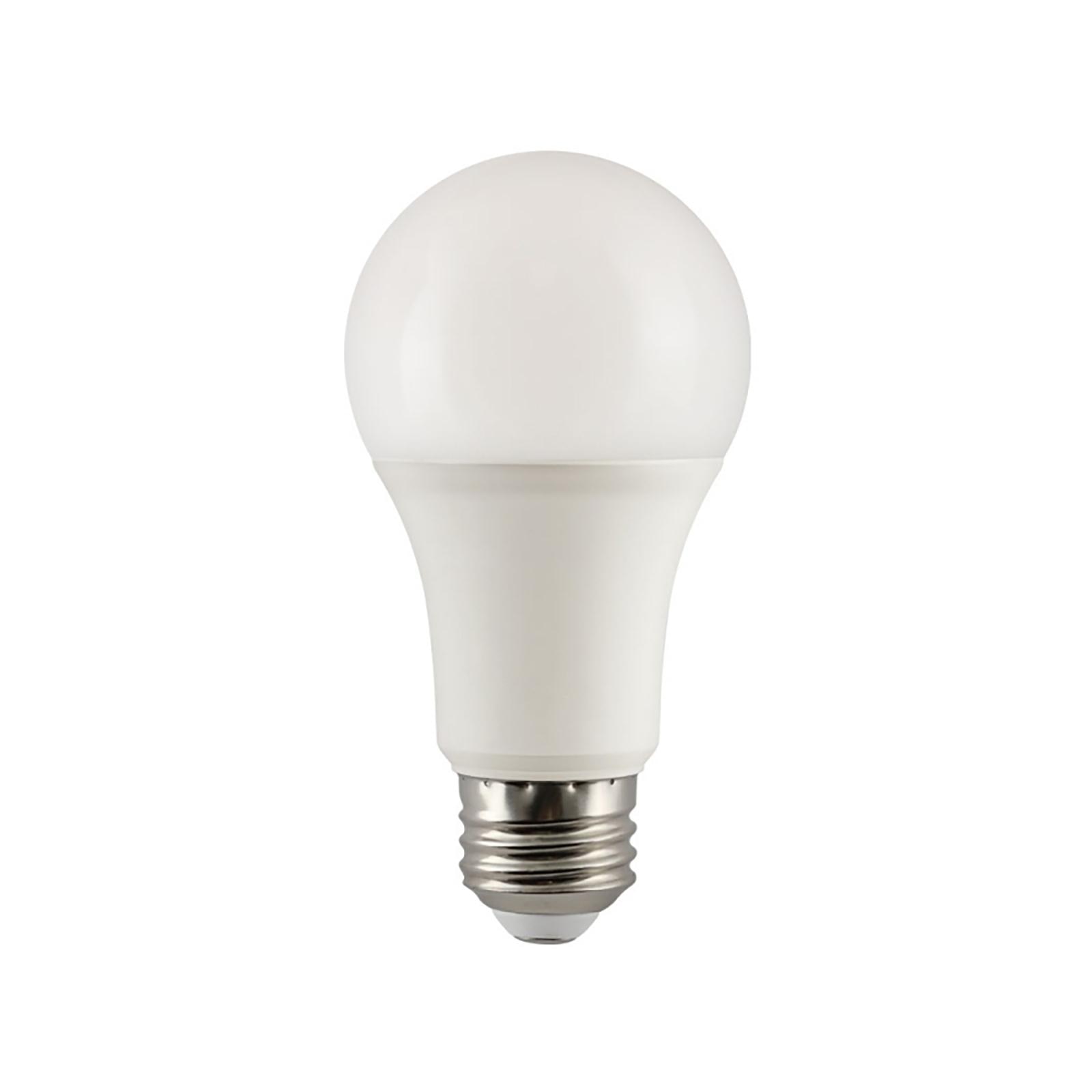 vidne Microbe Instruere A19 LED Frosted 12W 3-Way Light Bulb | Regina Andrew Detroit