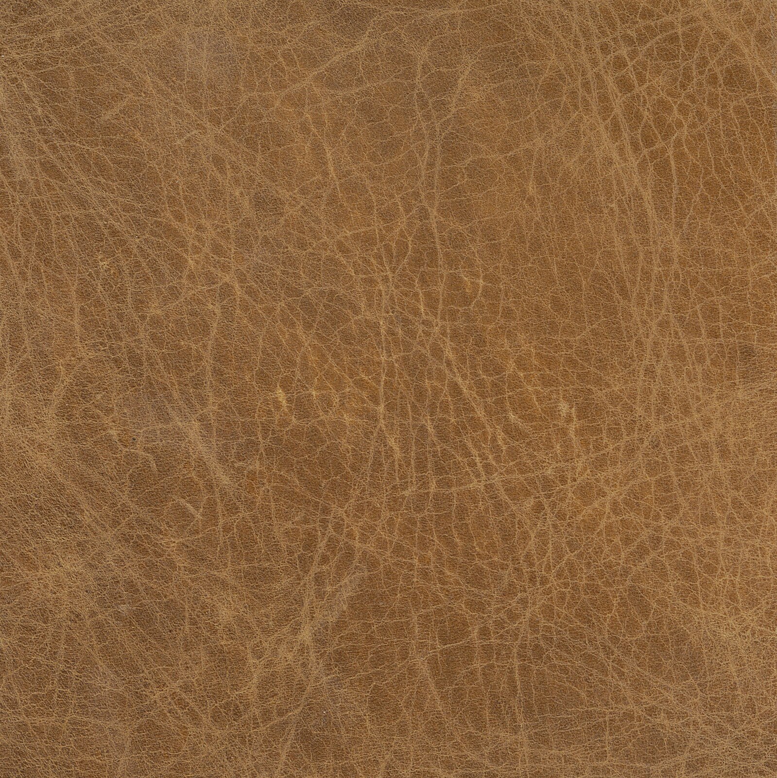 Brown leather Moss Home | Made in the USA - Fargo Dark Brown Leather Swatch main image 3